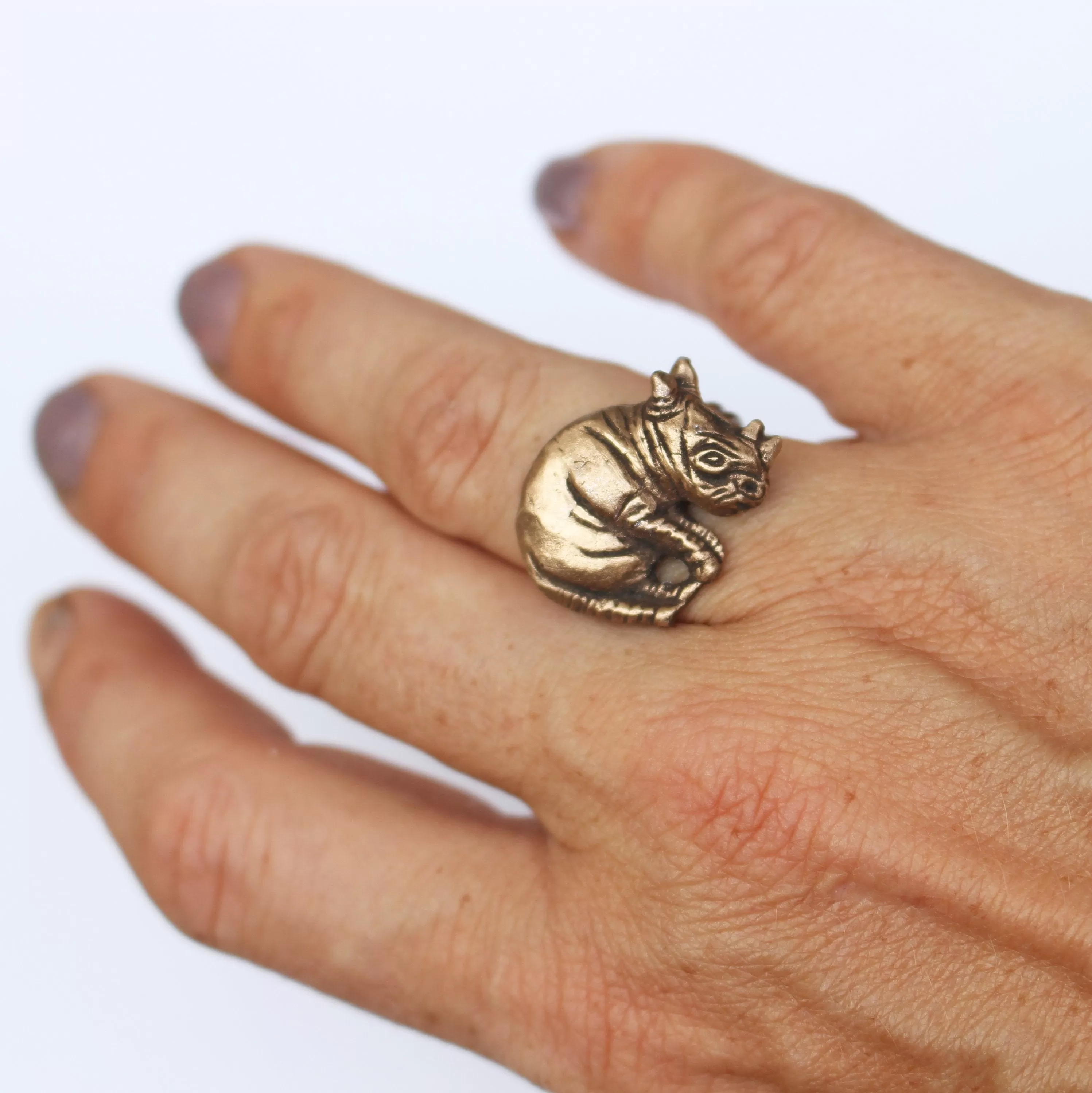 Rhinoceros ring